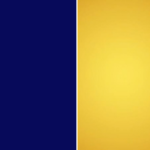 Azul - Dorado
