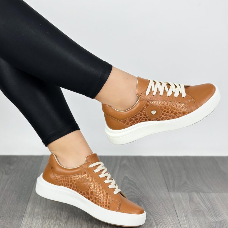 Tenis Miel Talipe C (DP95)